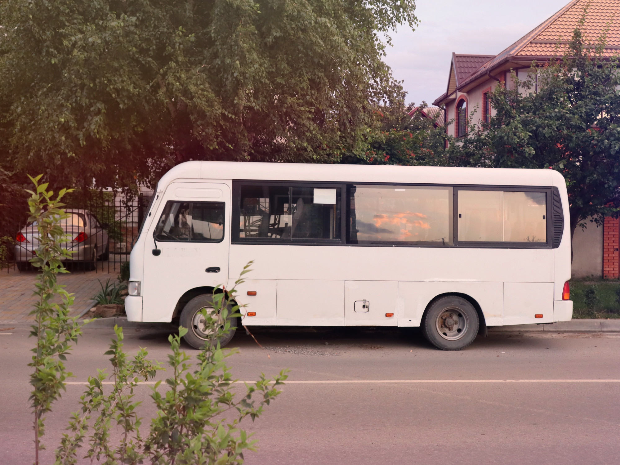 Small white bus parked on a leafy street